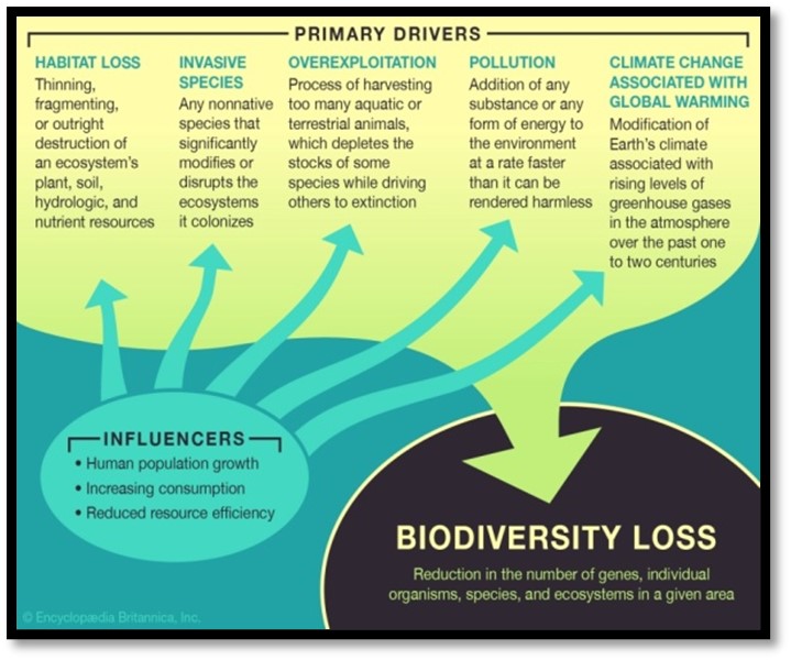 Rapid biodiversity loss - need for paradigm shift in conservation strategies • Dumping Nuclear wastes in open ocean-hazardous impact on marine ecosystems • Implications of declining Arctic Sea Ice • Conclusion • Carbon Capture, Utilisation & Storage (CCUS)