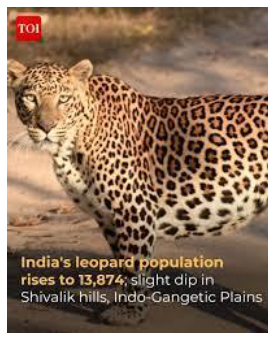 2022 Update on Indian Leopard Population • India's Battle Against Single-Use Plastics • Issues Related to Muslim Personal Law • Gene Therapy for Hemophilia A • A protoplanetary Disk • OPEC+ • Yars Missile • Grey Zone Warfare • Burkina Faso • National Commission for Protection of Child Rights • India’s Growth Surprise