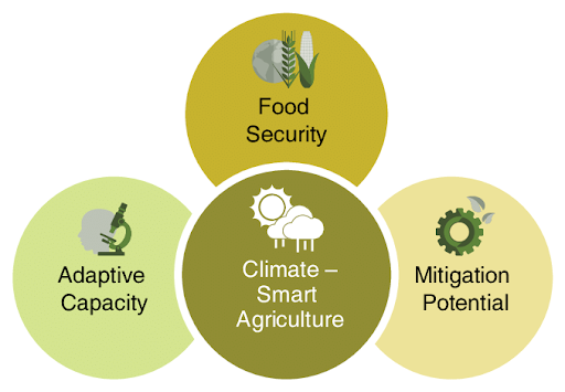 CLIMATE RESILIENT AGRICULTURE • DECARBONISATION OF 7 MSME CLUSTERS • FIRST LOCAL PLANT EXTINCTION IN THE US • Supernovae • Decarbonisation • Groynes • Land Degradation Neutrality • Biochar • SPONGE CITY,  SHENZHEN  IN CHINA • Places in the news • Fortnightly KOSMOS MCQs Practice