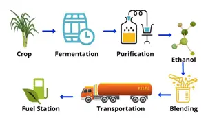 Ethanol Used In Petrol Now More From Maize, • CITES eases export of agarwood from India • Government Proposes Including Class 9-11 Performance • NIPUN Bharat Mission • The State of Food Security and Nutrition in the World 2024 • INS Tabar • Pollution Under Control (PUC) Certificate