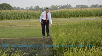 How new tech promises to kill weeds in rice and wheat fields • Budget 2024-25 Allows Youth to Lead Path of Growth in India • Atal Mission for Rejuvenation and Urban Transformation 2.0 • Substantive Equality of Opportunity • Scientists make of the R&D Budget in Modi’s third term • Bent-Toed Geckos • Pobitora Wildlife Sanctuary • Astra Missile • WHO Global Traditional Medicine Centre (WHO GCTM) • India-Bangladesh Relations under Sheikh Hasina: A 50-Year