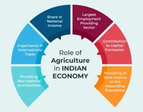 Transforming Agriculture into India's Growth Engine