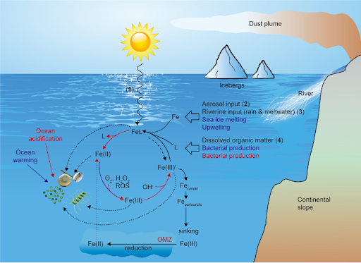 OCEAN ACIDIFICATION : SILENT THREAT • PERMAFROST COLLAPSE • GREENLAND LANDSLIDE • Greenhushing • Oxygen Bird Park • Kumki • Magnetic storms • Evershed effect • WAYANAD LANDSLIDES IN KERALA • Places in News - 10 October 2024 • Fortnightly KOSMOS MCQs Practice - 10th October 2024