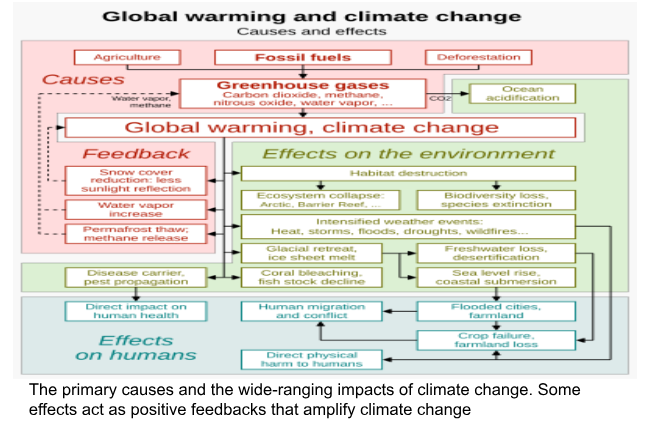 CLIMATE CHANGE AND DISPROPORTIONATE IMPACT • Guidelines to Curb Greenwashing • Twilight Zone in Oceans • Diatoms • Zombie Fire • Cold Edge Limit • Night Sky Sanctuary • Blue Hole • CLIMATE INDUCED MIGRATION -  SAGAR ISLAND • Places in News - 10 November 2024 • Fortnightly KOSMOS MCQs Practice - 10th November 2024