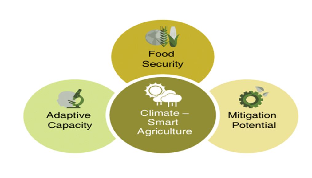 CLIMATE RESILIENT • CLIMATE CHANGE AND EARTH’S ROTATIONAL • FIRST LOCAL PLANT EXTINCTION IN THE US DUE TO RISING SEA • Supernovae - 10th March 2024 • Decarbonisation - 10th March 2025 • Groynes - 10th March 2025 • Land Degradation Neutrality  - 10th March 2025 • Biochar - 10th March 2025 • SPONGE CITY,  SHENZHEN IN CHINA • Places in News - 10 March 2025 • Fortnightly KOSMOS MCQs Practice - 10th March 2025