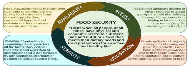 STATE OF FOOD SECURITY AND NUTRITION 2025